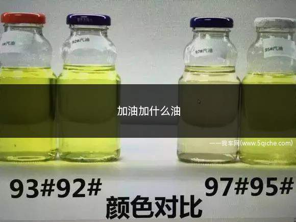 加油加什么油(不同品牌的汽油辛烷值不同)