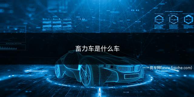 畜力车是什么车(2022年01月10日畜力车规定)