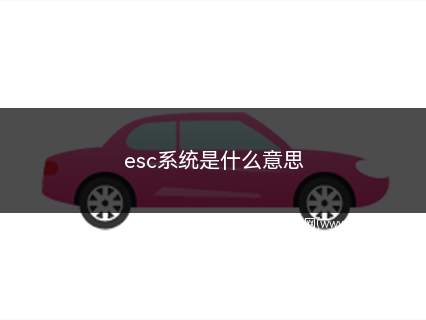 esc系统是什么意思(esc系统是什么意思啊)