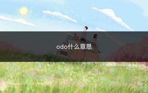 odo什么意思(汽车上的ODO表示汽车的总里程数)