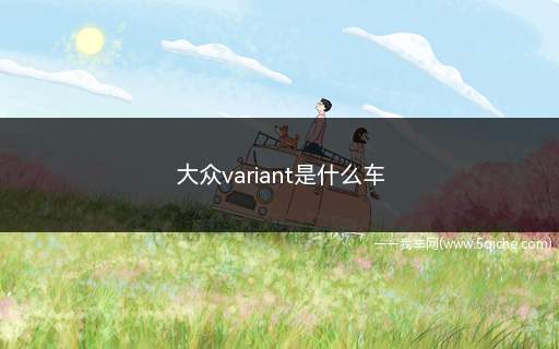 大众variant是什么车(大众variant是什么车多少钱)