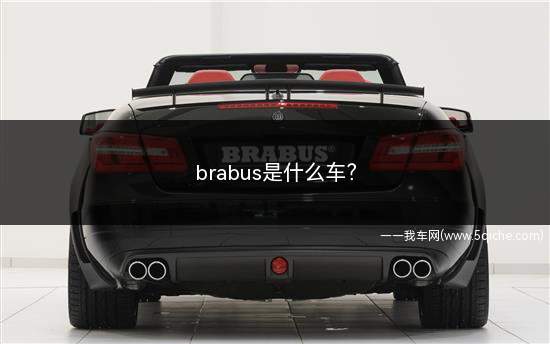 brabus是什么车的标志(brabus是什么车)