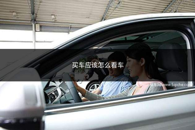 买车应该怎么看车(买车要看车的介绍)