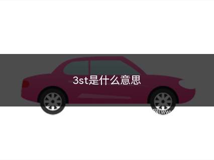 3st是什么意思(3st是什么意思英语)