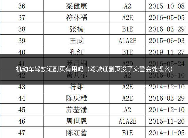 驾驶证少了副页可以吗(驾驶证副页没有了能开车吗)