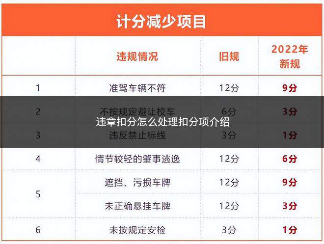 违章扣分怎么处理扣分项介绍(如何处理朋友违规扣分的问题)