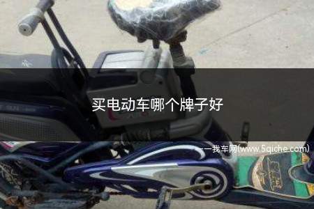 买电动车哪个牌子好(买电动车哪个牌子好点)