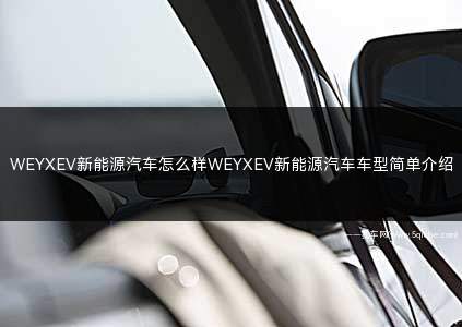 WEY汽车新能源汽车推荐(weyxev新能源汽车)