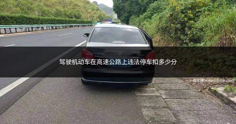 驾驶机动车在高速公路上违法停车扣多少分(在高速公路上违法停车的扣分标准)