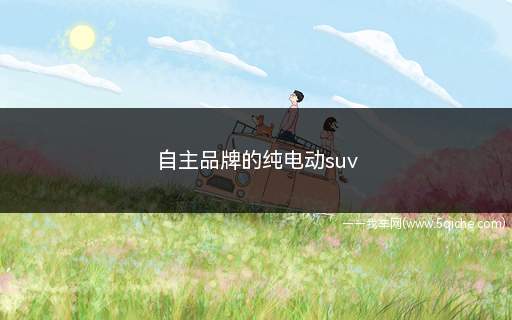 纯电动suv哪一款好(自主品牌纯电动suv)