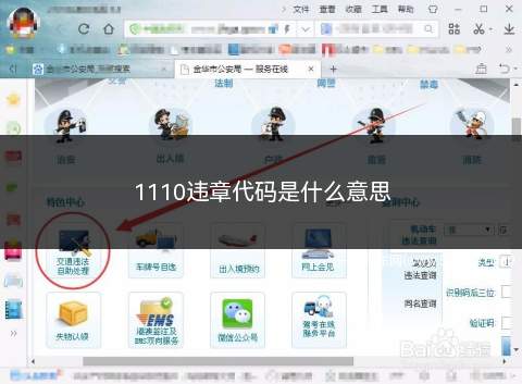 1110违章代码是什么意思(交通违章代码:110是什么意思)