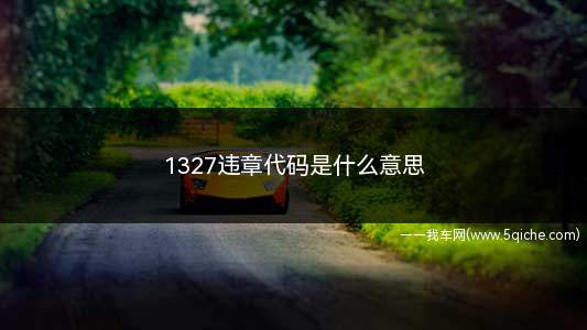 1327违章代码是什么意思(交通违章代码:1327是什么意思)