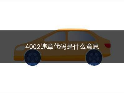 4002违章代码是什么意思(交通违章代码:4002是什么意思)