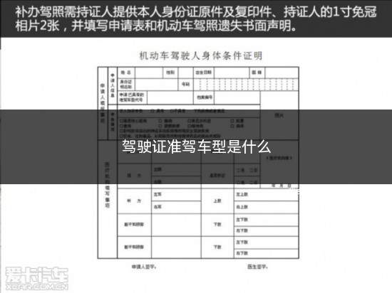 驾驶证准驾车型是什么(驾驶证准驾车型是什么意思)