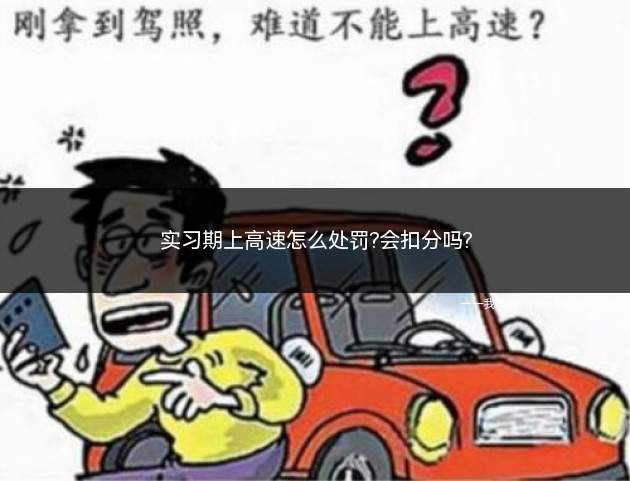 实习期上高速怎么处罚(随行司机是否要承担责任)