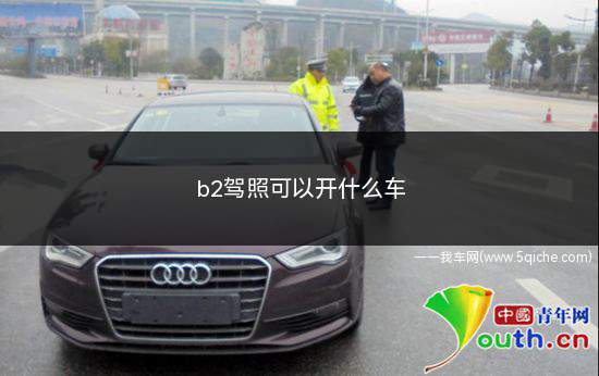 b2驾照可以开什么车(b2驾照可以开什么车多少钱)