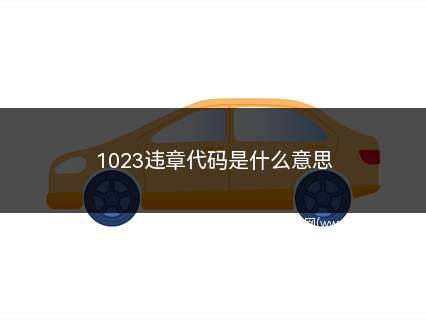 1023违章代码是什么意思(交通违章代码:1023是什么意思)