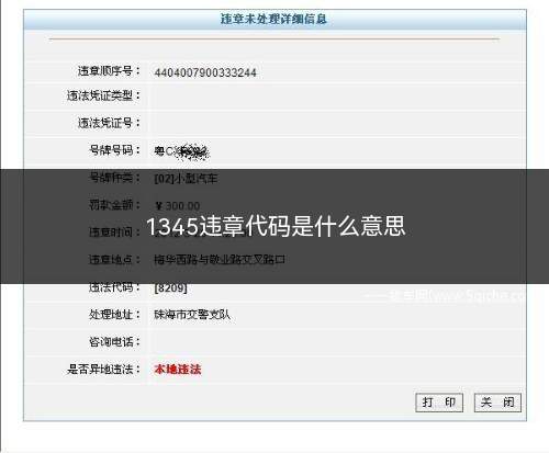 1345违章代码是什么意思(交通违章代码:1345是什么意思)