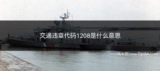 交通违章代码1208是什么意思(违章代码1208含义和处罚方法)