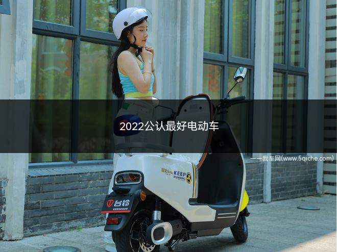 2022公认最好电动车(2022公认最好纯电动车)