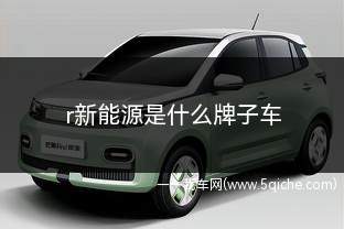 r标志新能源是什么牌子车(r标什么牌子的车)