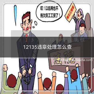 下载12135交通违章查询(12135违章多久能查询到)