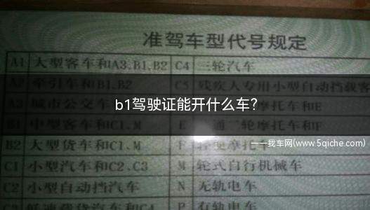 b1驾驶证能开什么车(b1驾驶证能开什么车视频)