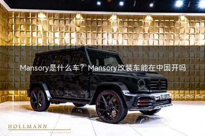 MANSORY是什么车(mansory是什么车标)