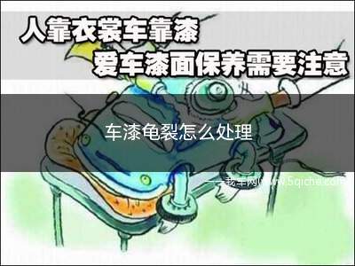 车漆龟裂怎么处理(车漆龟裂怎么处理最好)