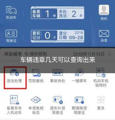 车辆违章几天可以查询出来(车辆违章一般几天可以查到)