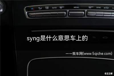 syng是什么意思(sync是什么按键)