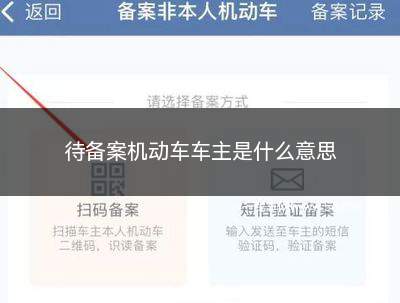 待备案机动车车主是什么意思(待备案机动车车主是谁)