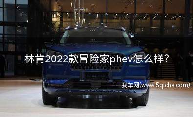 林肯冒险家phev2024价格(林肯冒险家phev两款区别)